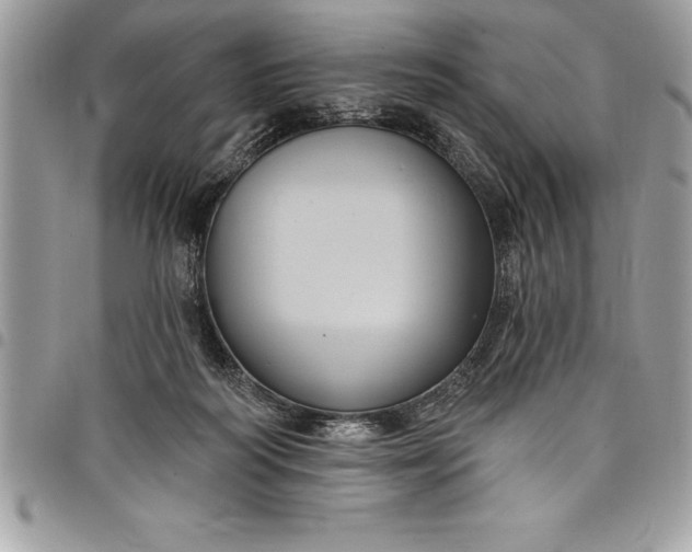 X0000097890218200803281253