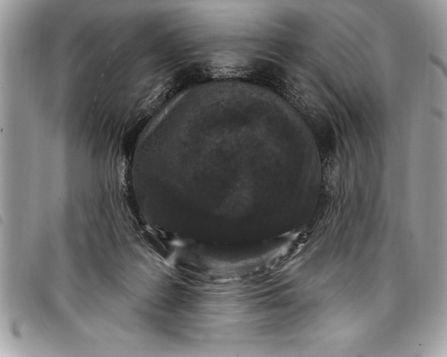 X0000097890219200803281253