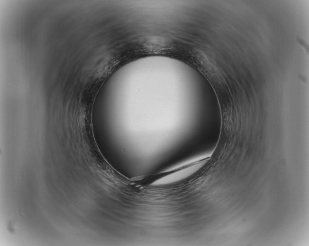 X0000097890221200803281253