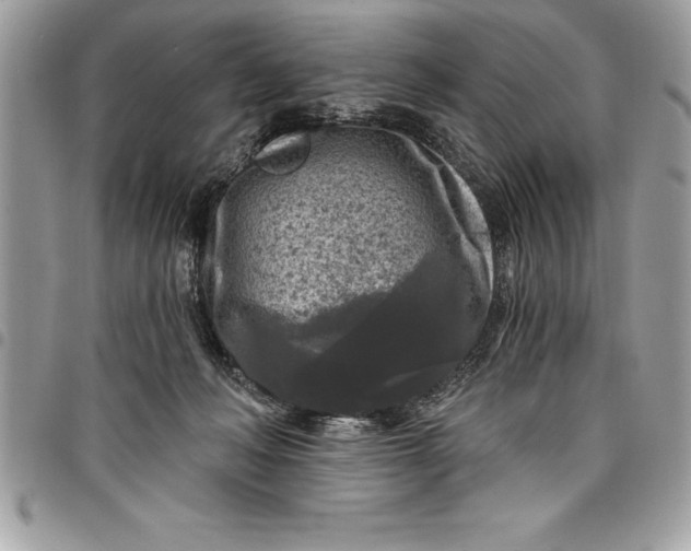 X0000097890222200803281253