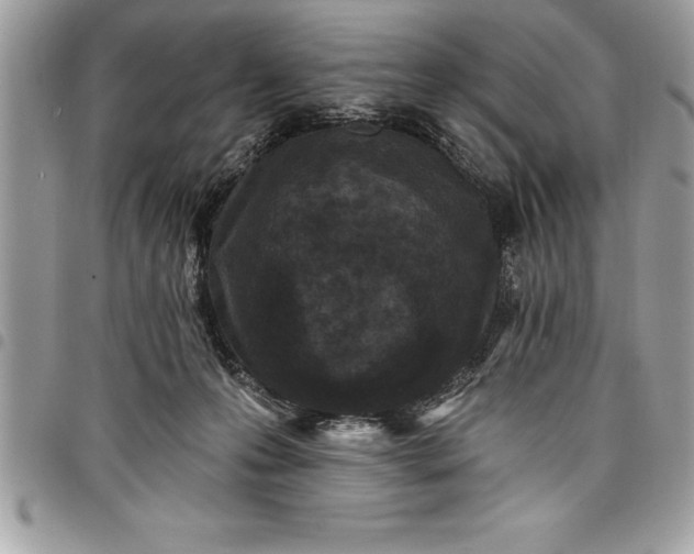 X0000097890223200803281253