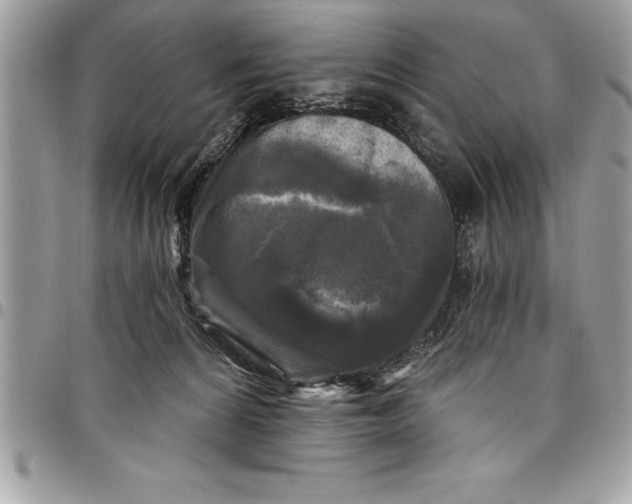 X0000097890224200803281253