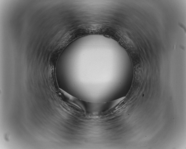 X0000097890225200803281253