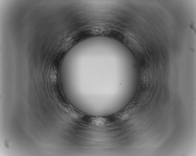 X0000097890226200803281253