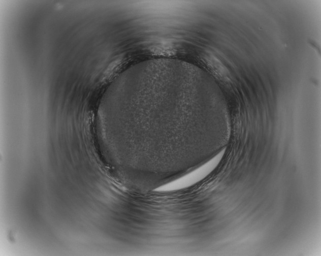 X0000097890229200803281253