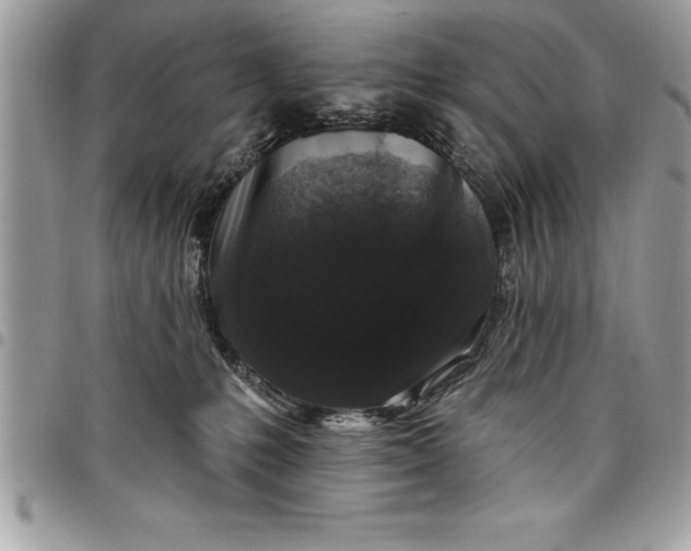 X0000097890231200803281253