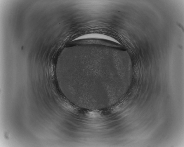 X0000097890232200803281253