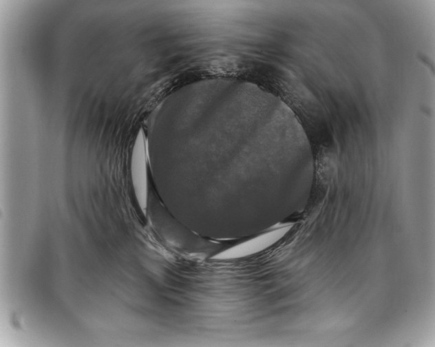 X0000097890233200803281253