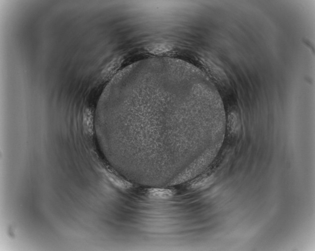 X0000097890234200803281253