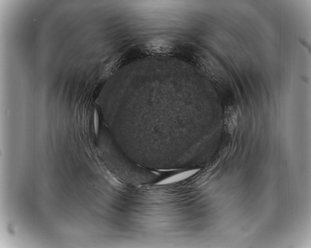 X0000097890235200803281253