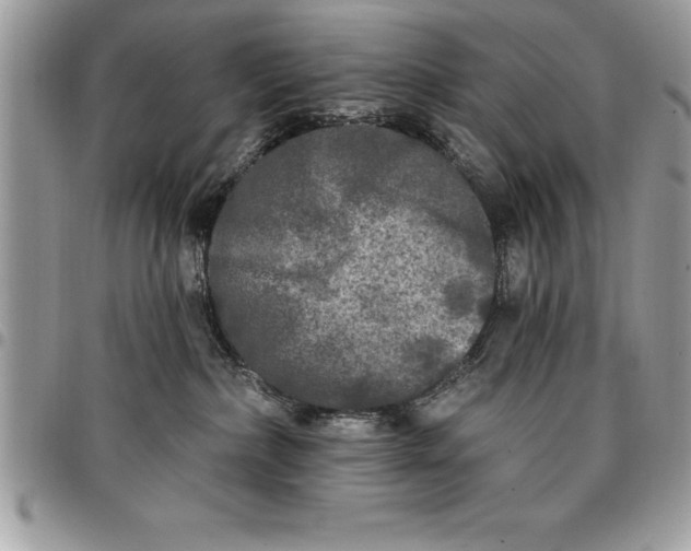 X0000097890236200803281253