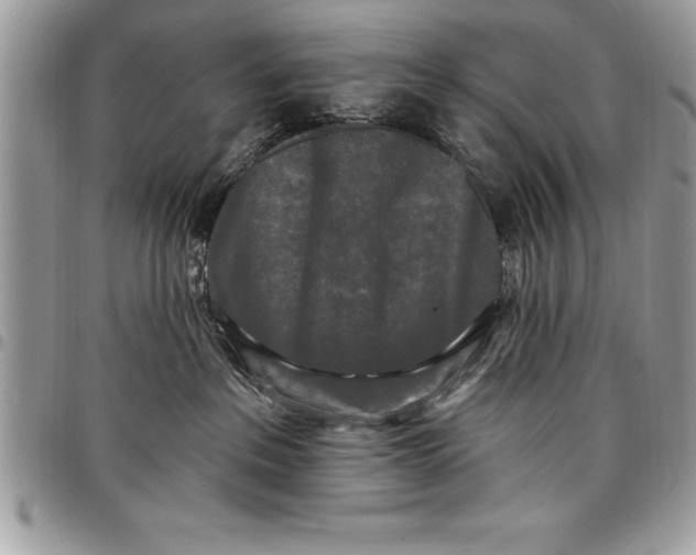 X0000097890237200803281253