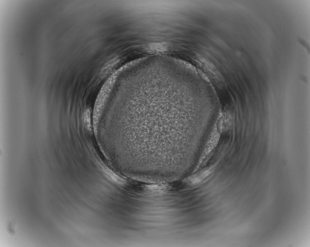 X0000097890238200803281253