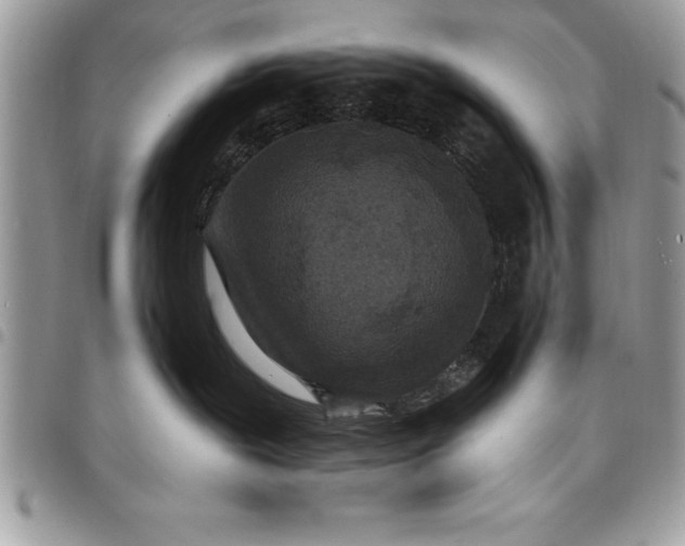 X0000097890239200803281253