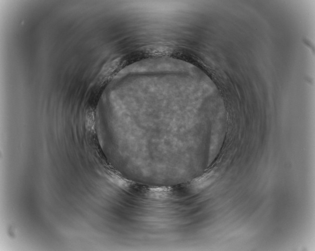 X0000097890240200803281253