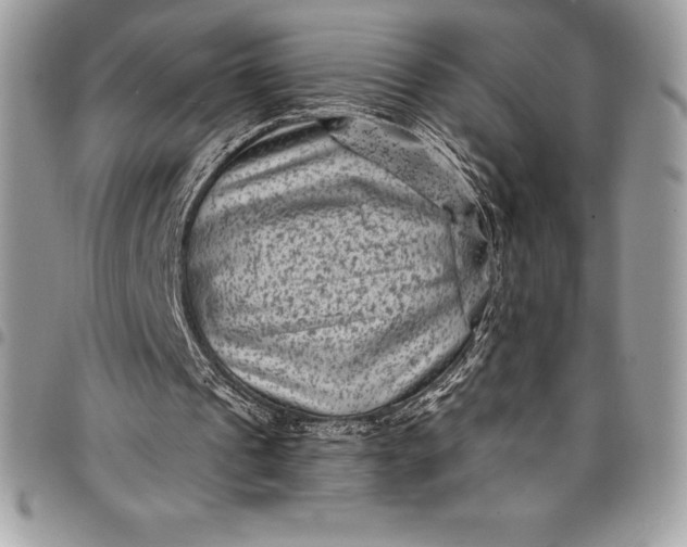 X0000097890241200803281252