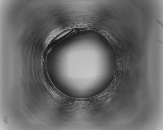 X0000097890242200803281252