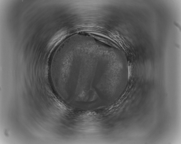 X0000097890243200803281252