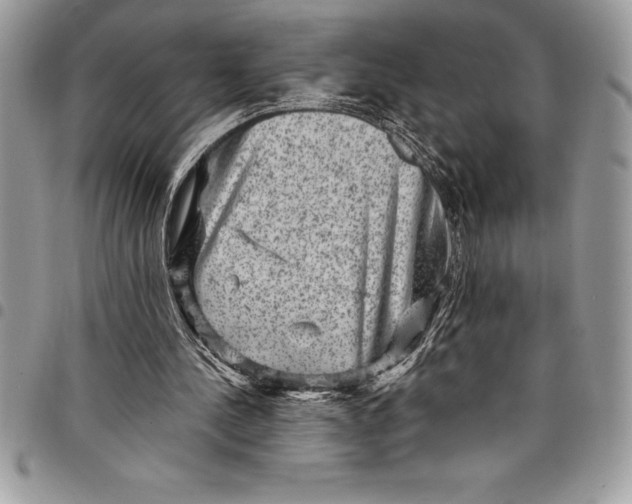 X0000097890244200803281252