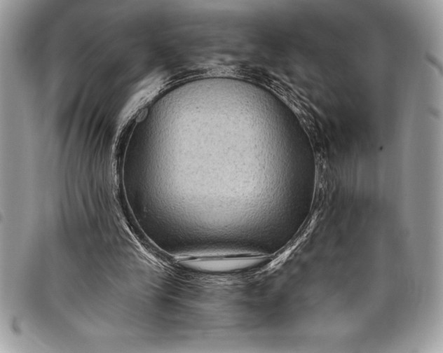 X0000097890245200803281252