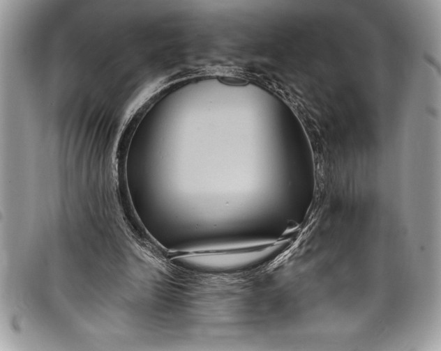 X0000097890246200803281252