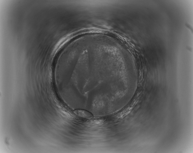 X0000097890247200803281252