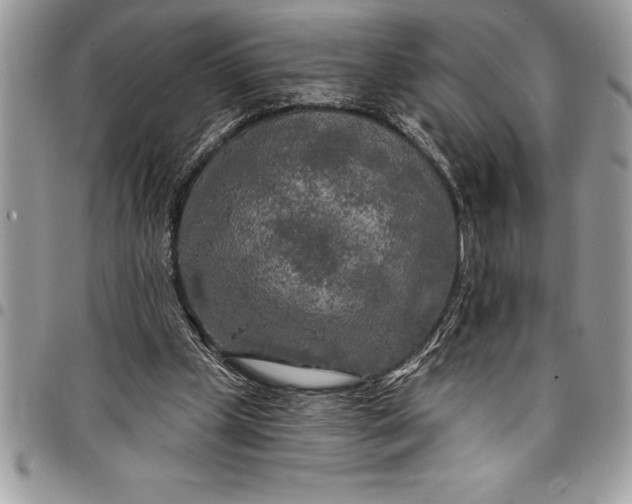 X0000097890249200803281252