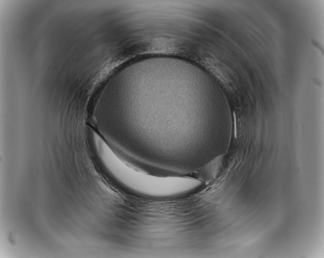 X0000097890252200803281252