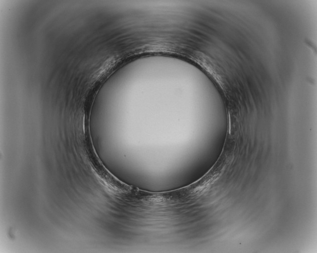 X0000097890253200803281252