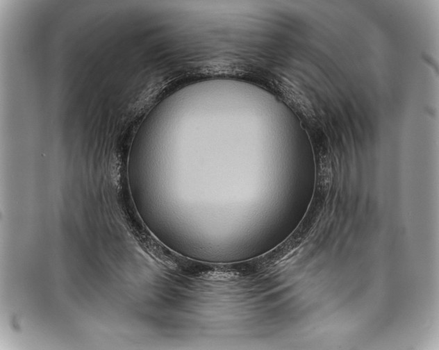 X0000097890255200803281252