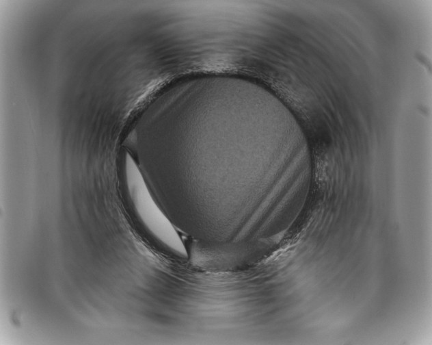 X0000097890256200803281252