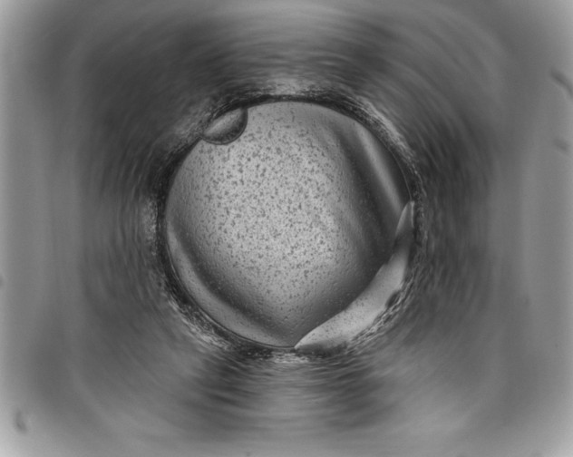 X0000097890257200803281252