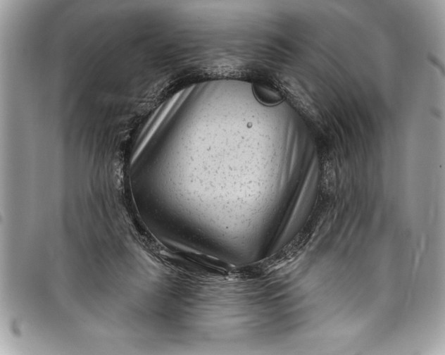 X0000097890259200803281252