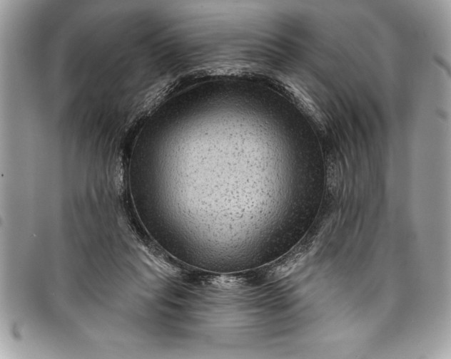 X0000097890261200803281252