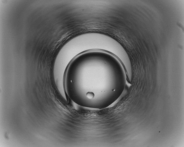 X0000097890262200803281252