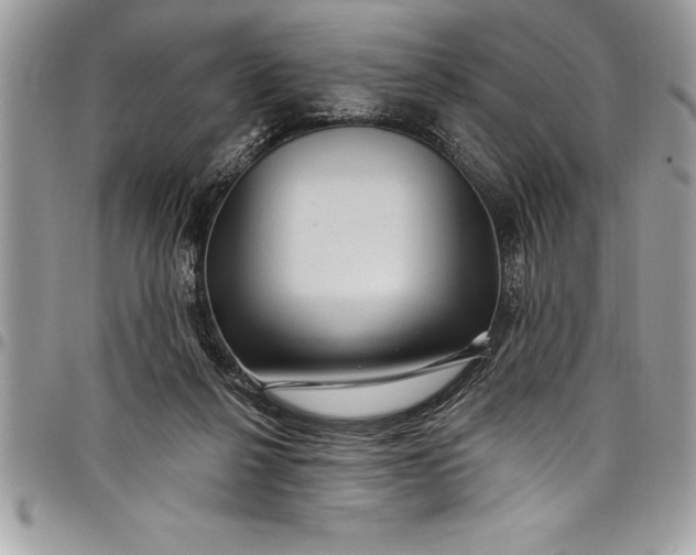 X0000097890264200803281252