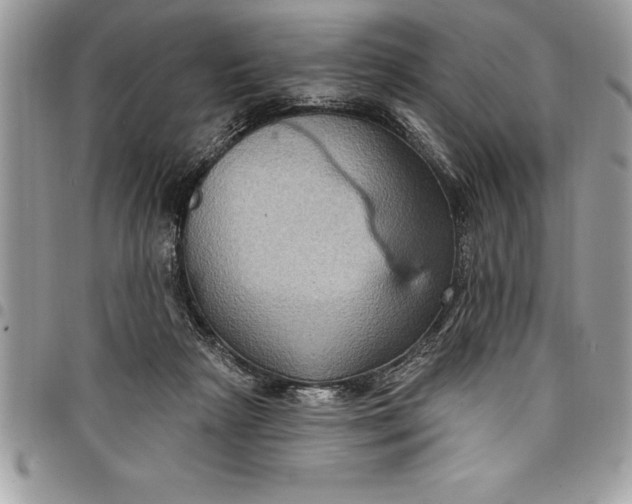 X0000097890265200803281252