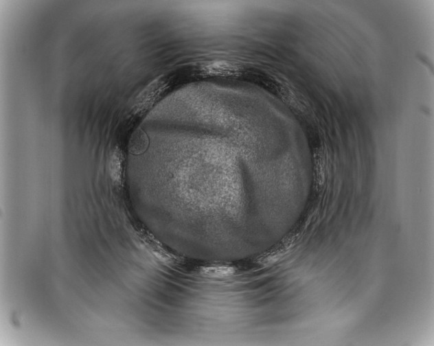 X0000097890266200803281252