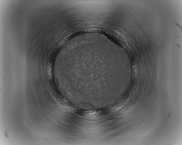 X0000097890267200803281252