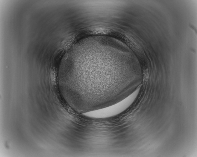 X0000097890268200803281252