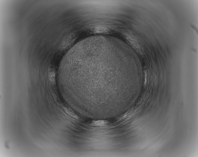 X0000097890269200803281252