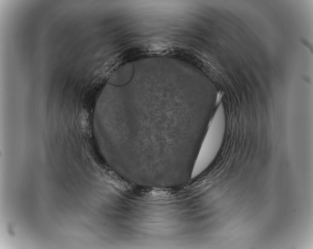 X0000097890270200803281252