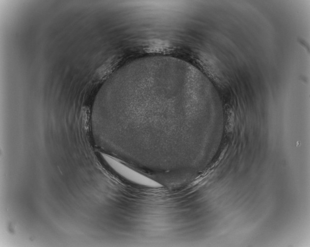 X0000097890273200803281252