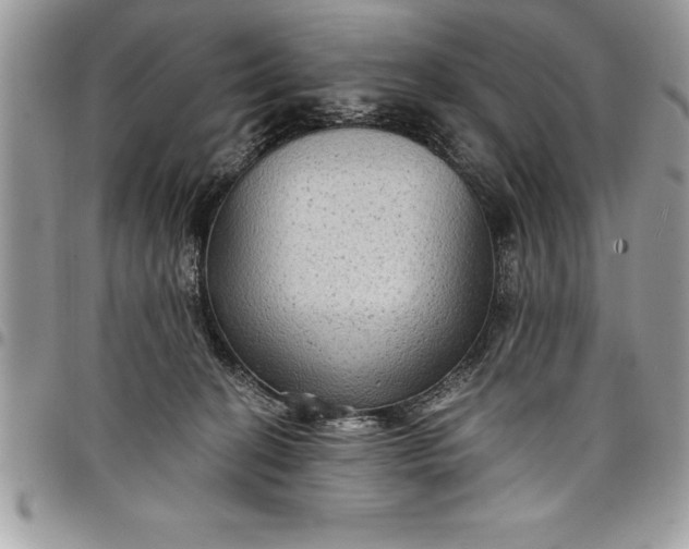 X0000097890274200803281252