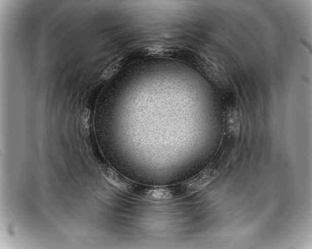 X0000097890275200803281252