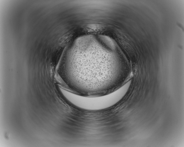 X0000097890276200803281252