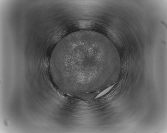 X0000097890277200803281252