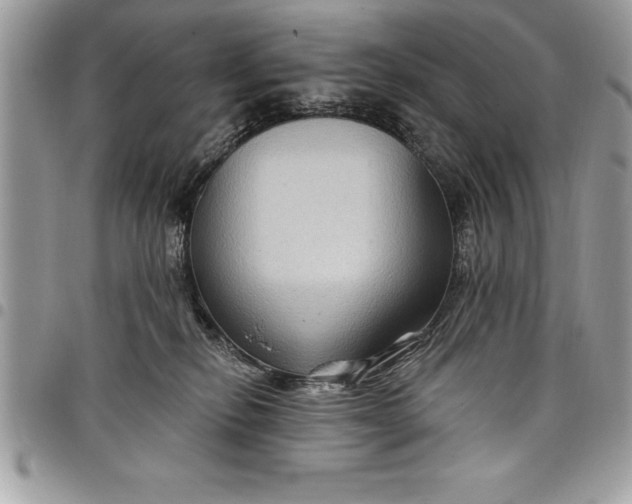 X0000097890278200803281252