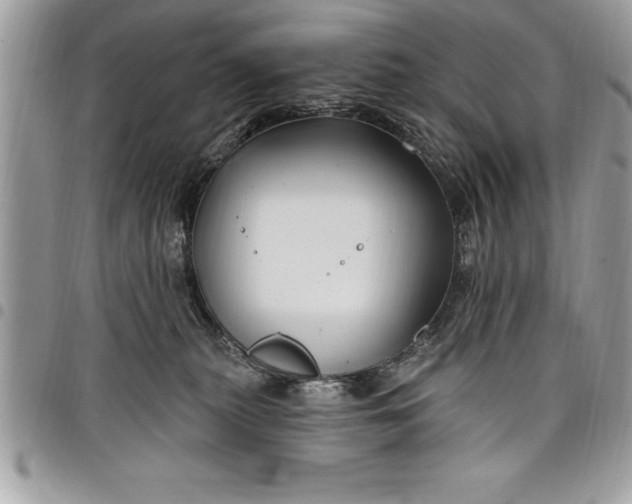 X0000097890279200803281252