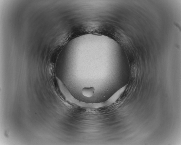 X0000097890280200803281252